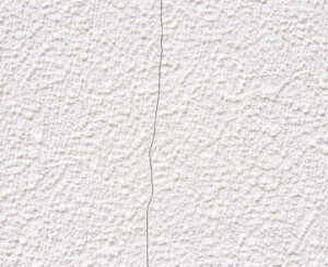 ヘアクラックの画像